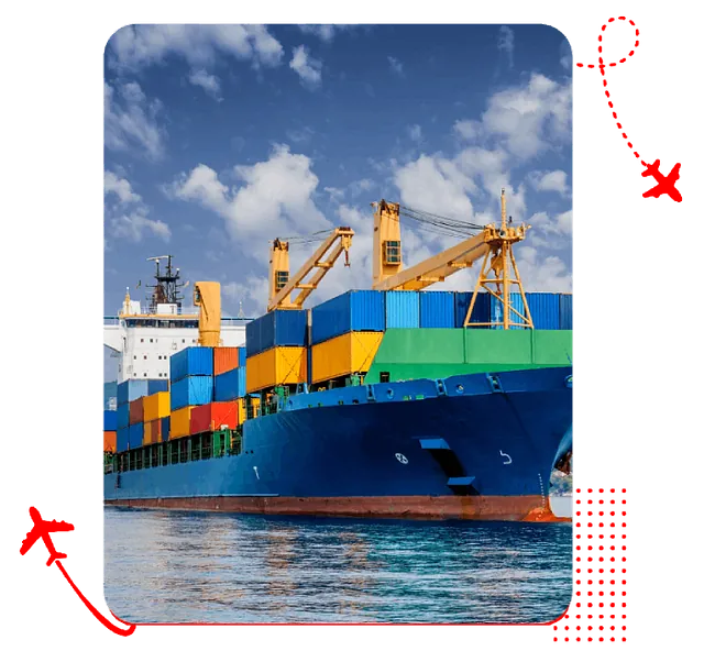 VITALTRANS