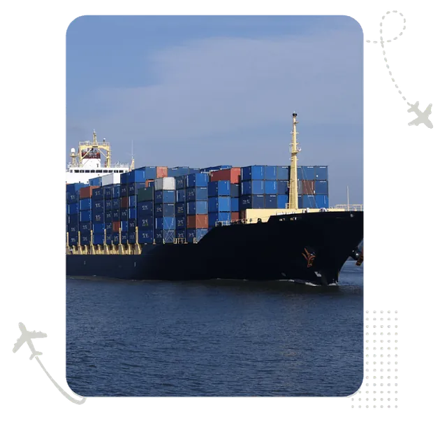 VITALTRANS